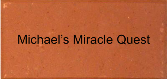 Michael's Miracle Quest